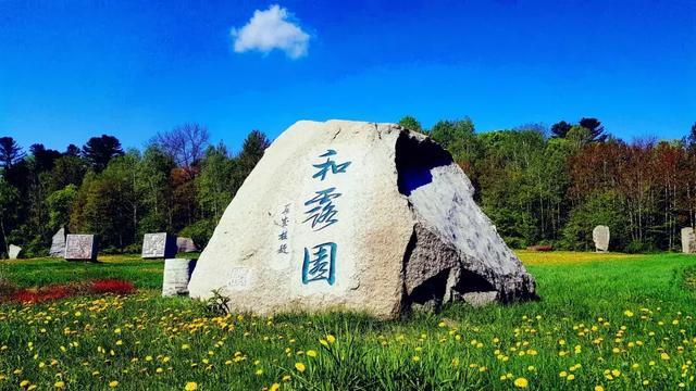 100天学霸养成