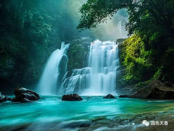僵尸敲方块